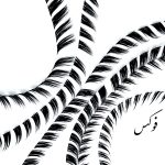 مژه فیشر فاکس سایز 14 چپ/راست (ابریشمی/اعلا)