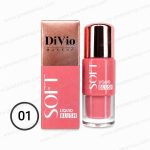 رژگونه مایع 3 کاره دیویو 01 Divio Liquid Blush
